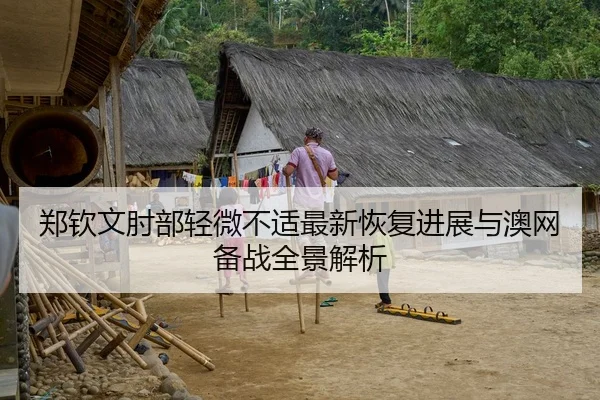 郑钦文肘部轻微不适最新恢复进展与澳网备战全景解析